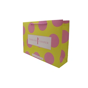 Custom Eco-Friendly Custom Paper Bag for Shopping