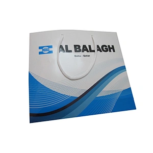 Eco-friendly Wholesale Custom Shopping Paper Bag with Handles