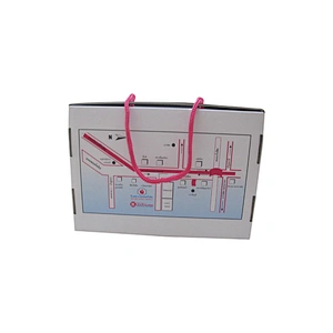 Wholesale Eco-friendly Custom Corrugated Paper Box with Ropes
