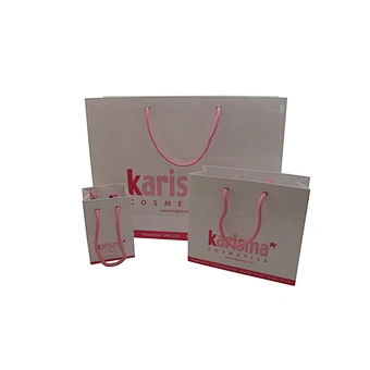 Wholesale Custom Paper Bag Luxury Packaging Bag Gift Bag With Cotton Rope