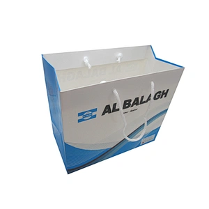 Eco-friendly Wholesale Custom Shopping Paper Bag with Handles