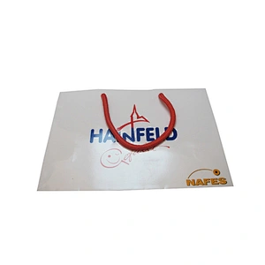Wholesale Eco-Friendly Custom Shopping Bag with Logo