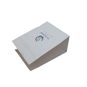 Wholesale Custom White Paper Bag In Hand