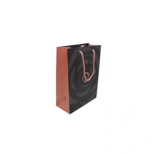 Wholesale Custom Paper Bag Eco-Friendly Garment Shopping Bag with Handles