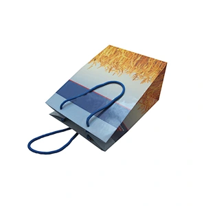 Custom Shopping Bags with Handles - Wholesale Gift Packing Bag