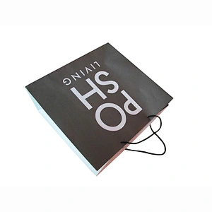Eco-Friendly Wholesale Kraft Paper Shopping Paper Bag with Handles