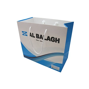 Eco-friendly Wholesale Custom Shopping Paper Bag with Handles