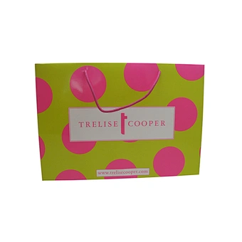 Custom Eco-Friendly Custom Paper Bag for Shopping