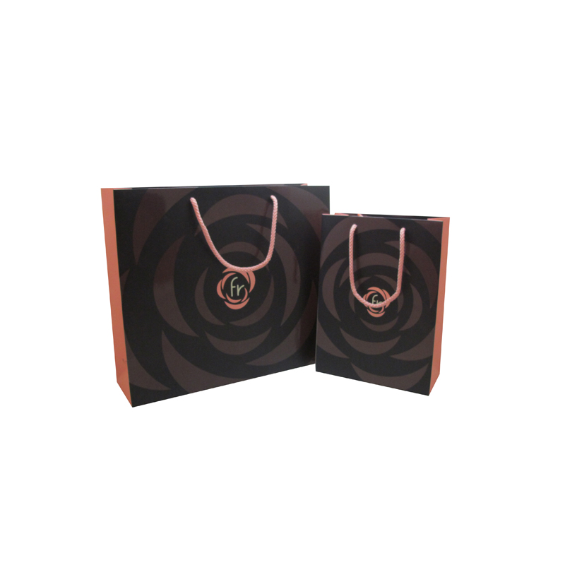 Wholesale Custom Paper Bag Eco-Friendly Garment Shopping Bag with Handles