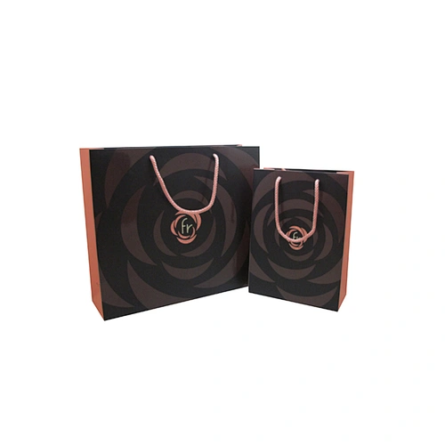 Wholesale Custom Paper Bag Eco-Friendly Garment Shopping Bag with Handles