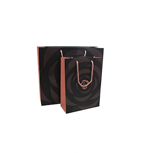 Wholesale Custom Paper Bag Eco-Friendly Garment Shopping Bag with Handles