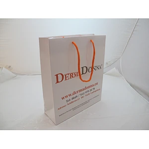 Wholesale White Paper Bag Printed Gift Bag With Cotton Rope