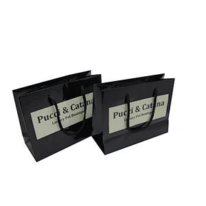 Printed Your Own Logo Unique Small Gift Paper Bags with Nylon