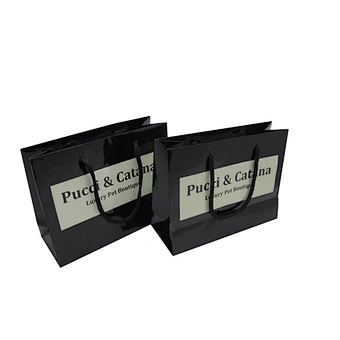 Printed Your Own Logo Unique Small Gift Paper Bags with Nylon