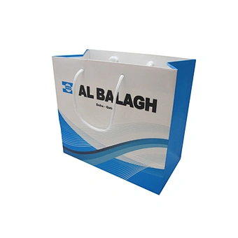 Eco-friendly Wholesale Custom Shopping Paper Bag with Handles