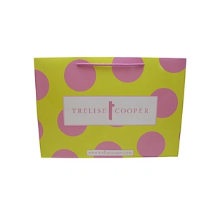 Custom Eco-Friendly Custom Paper Bag for Shopping