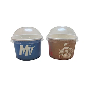 Disposable ice cream cup with PET/Paper lid