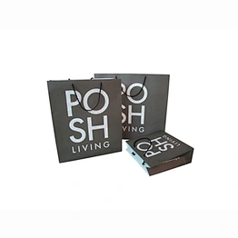 Eco-Friendly Wholesale Kraft Paper Shopping Paper Bag with Handles