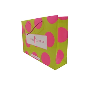 Custom Eco-Friendly Custom Paper Bag for Shopping
