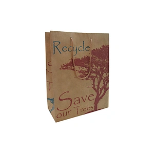 Custom Logo Eco-Friendly Wholesale Brown Kraft Paper Bag with Twist Handle