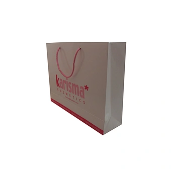 Wholesale Custom Paper Bag Luxury Packaging Bag Gift Bag With Cotton Rope