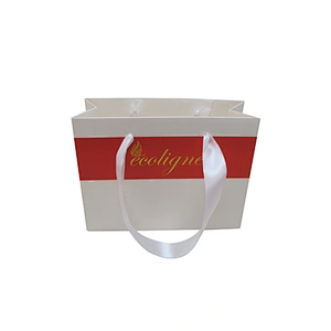 Wholesale Eco-Friendly Custom Logo Shopping Bags with Handles
