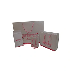 Wholesale Custom Paper Bag Luxury Packaging Bag Gift Bag With Cotton Rope