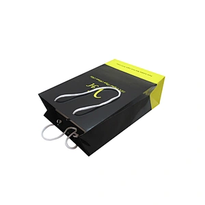 Low Price Custom Eco-friendly Packing Paper Bag with Handles