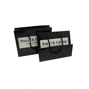 Printed Your Own Logo Unique Small Gift Paper Bags with Nylon