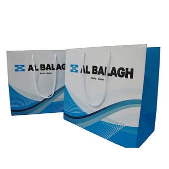 Eco-friendly Wholesale Custom Shopping Paper Bag with Handles