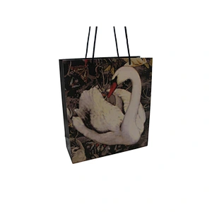 Customized Wholesale Eco-Friendly Delicate Gift Paper Bags with Handle