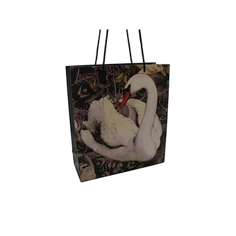 Customized Wholesale Eco-Friendly Delicate Gift Paper Bags with Handle
