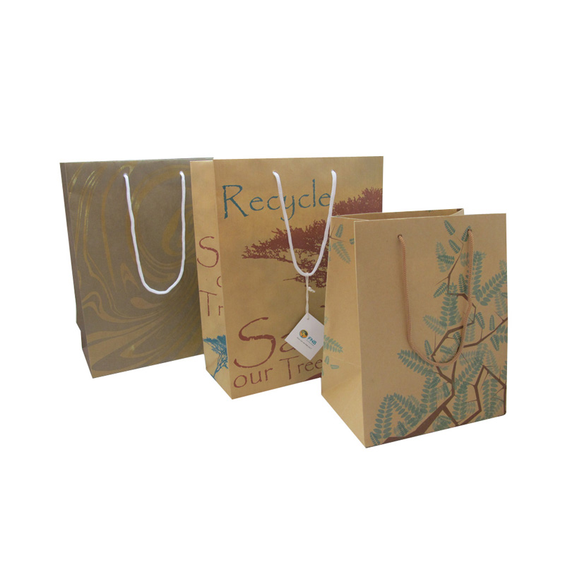 Custom Logo Eco-Friendly Wholesale Brown Kraft Paper Bag with Twist Handle