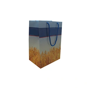 Custom Shopping Bags with Handles - Wholesale Gift Packing Bag
