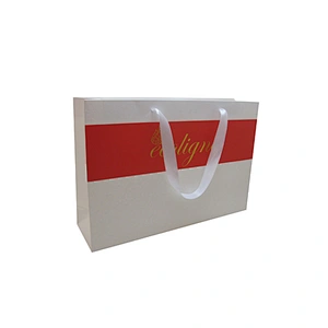 Wholesale Eco-Friendly Custom Logo Shopping Bags with Handles