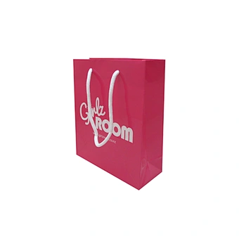 Custom Wholesale Different Size Cheap Shopping Bag with Handles