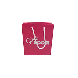 Custom Wholesale Different Size Cheap Shopping Bag with Handles