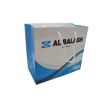 Eco-friendly Wholesale Custom Shopping Paper Bag with Handles