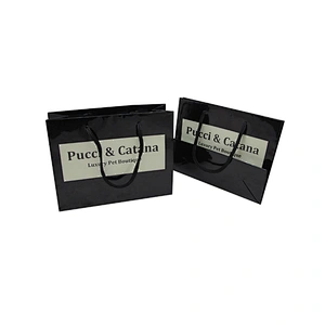 Printed Your Own Logo Unique Small Gift Paper Bags with Nylon