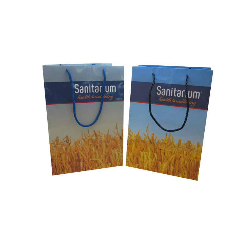 Custom Shopping Bags with Handles - Wholesale Gift Packing Bag