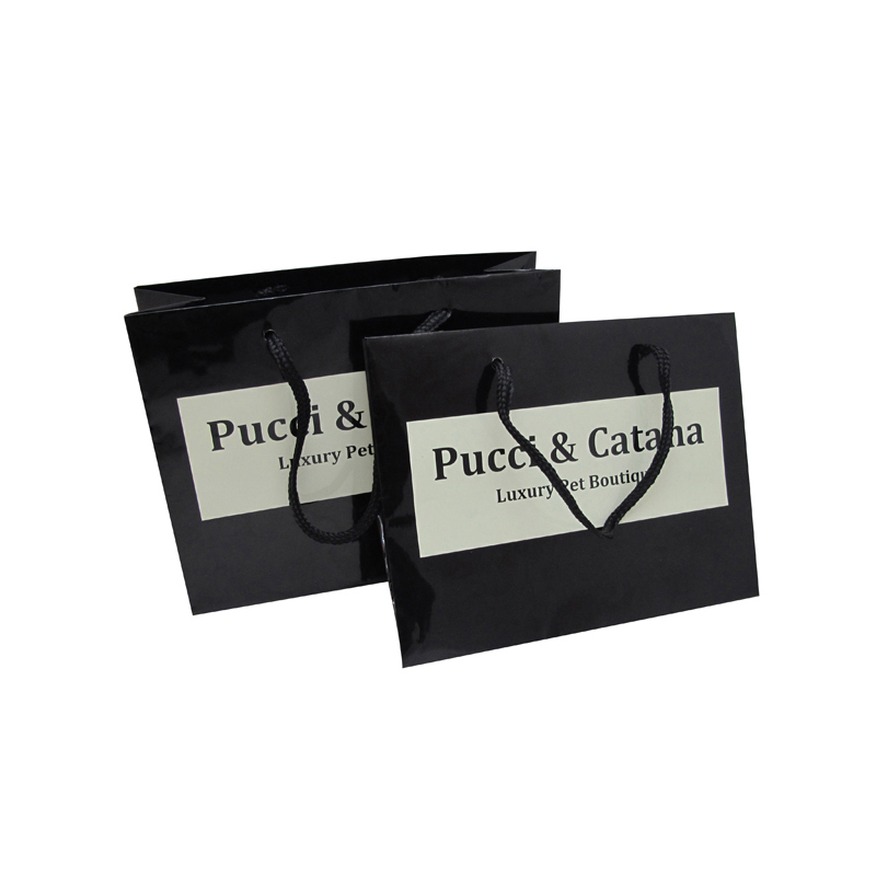 Printed Your Own Logo Unique Small Gift Paper Bags with Nylon