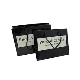 Printed Your Own Logo Unique Small Gift Paper Bags with Nylon
