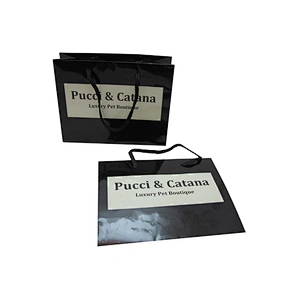 Printed Your Own Logo Unique Small Gift Paper Bags with Nylon