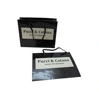 Printed Your Own Logo Unique Small Gift Paper Bags with Nylon