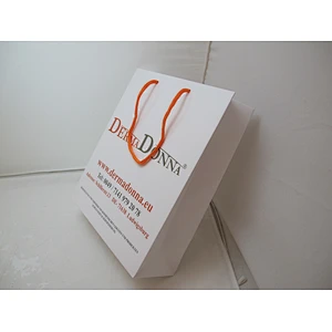 Wholesale White Paper Bag Printed Gift Bag With Cotton Rope