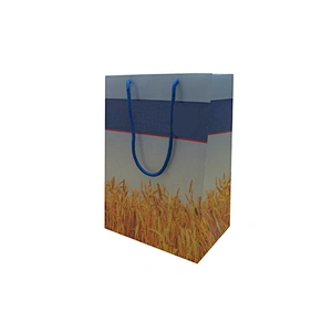 Custom Shopping Bags with Handles - Wholesale Gift Packing Bag