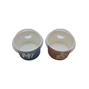 Disposable ice cream cup with PET/Paper lid