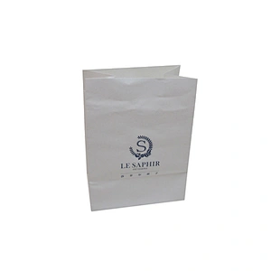 Wholesale Custom White Paper Bag In Hand