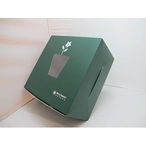 Custom Cupcake Green Paper Luxury Box