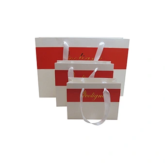 Wholesale Eco-Friendly Custom Logo Shopping Bags with Handles